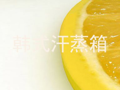韩式汗蒸箱
