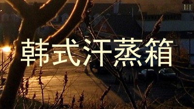 韩式汗蒸箱
