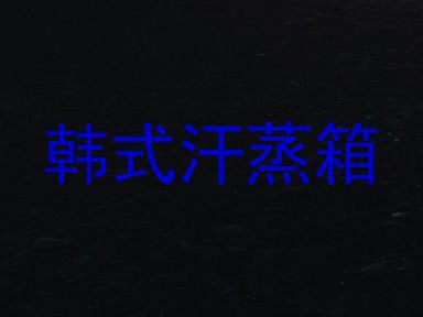 韩式汗蒸箱