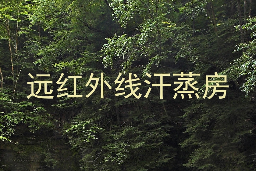 远红外线汗蒸房