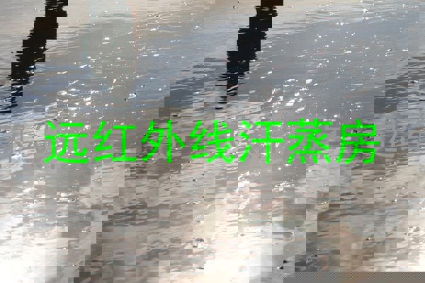 远红外线汗蒸房