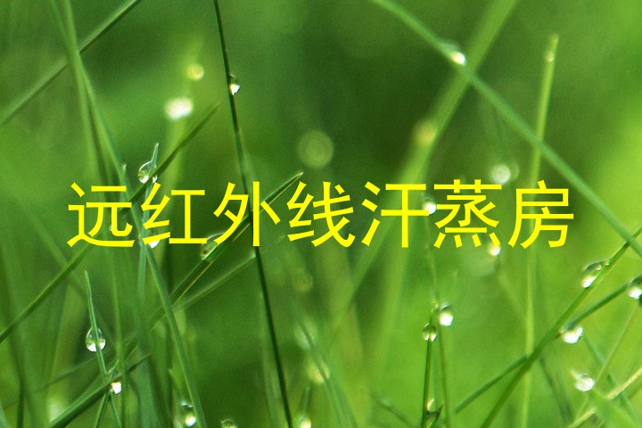 远红外线汗蒸房