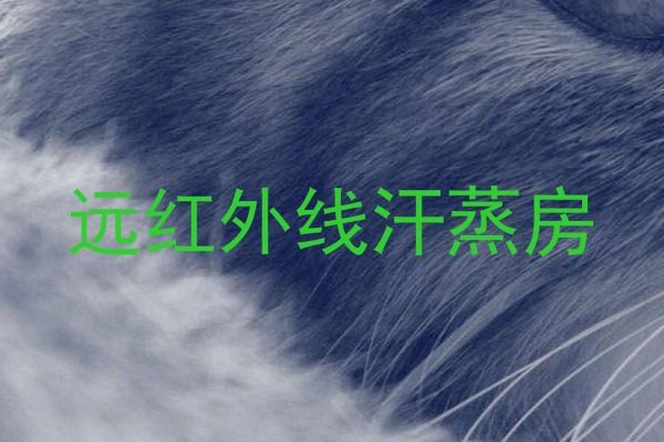 远红外线汗蒸房