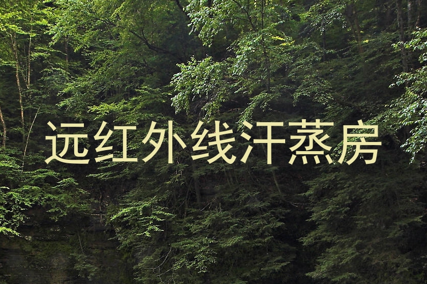 远红外线汗蒸房