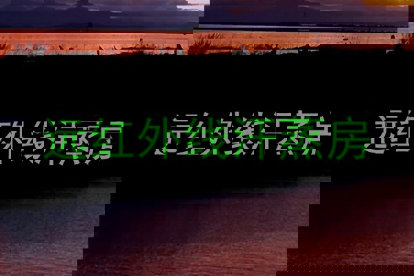 远红外线汗蒸房