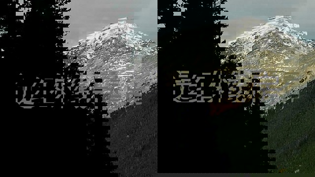 远红外线汗蒸房