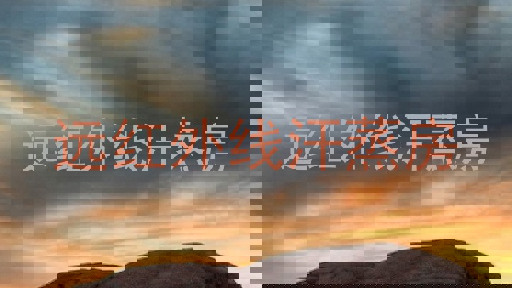 远红外线汗蒸房