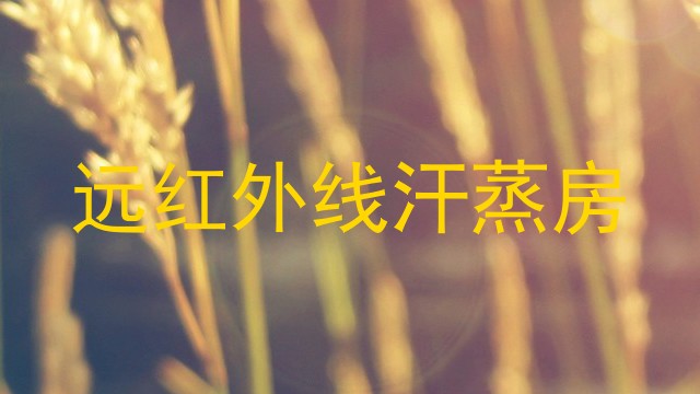 远红外线汗蒸房