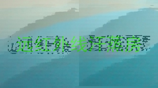 远红外线汗蒸房