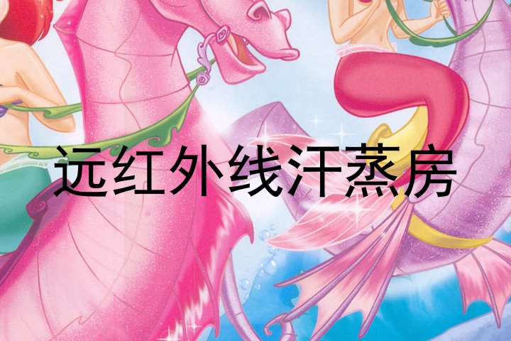 远红外线汗蒸房