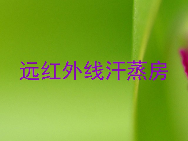 远红外线汗蒸房