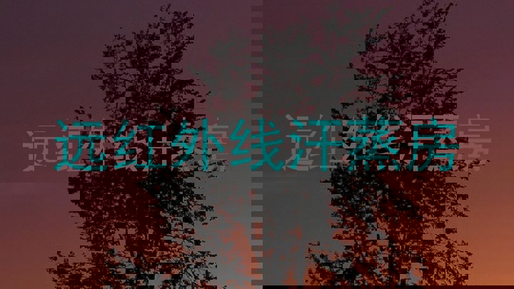 远红外线汗蒸房