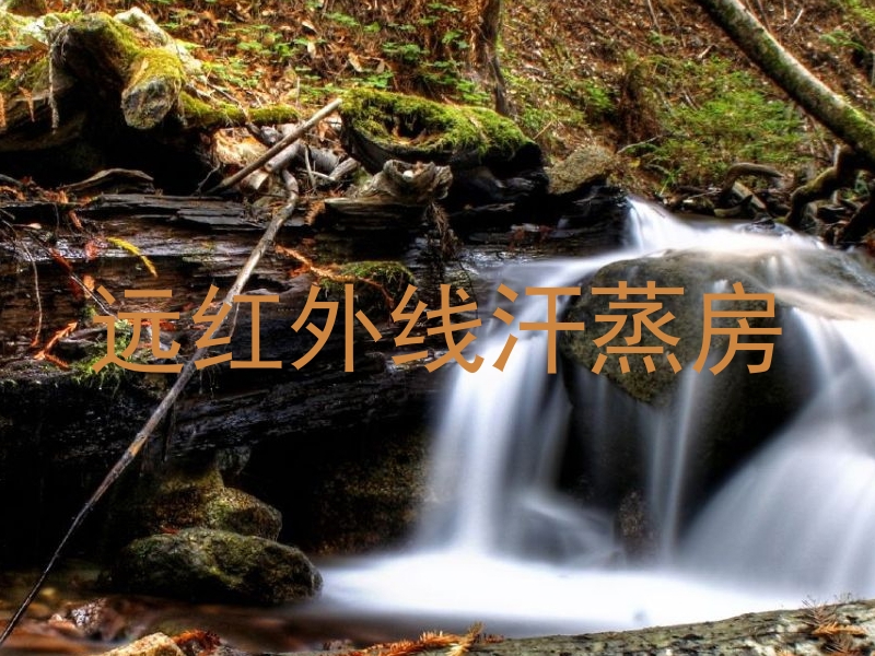 远红外线汗蒸房