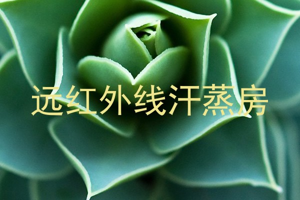 远红外线汗蒸房