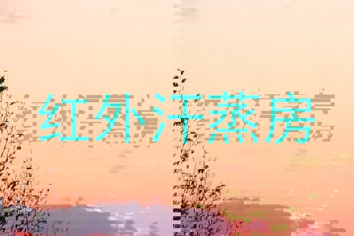 红外汗蒸房