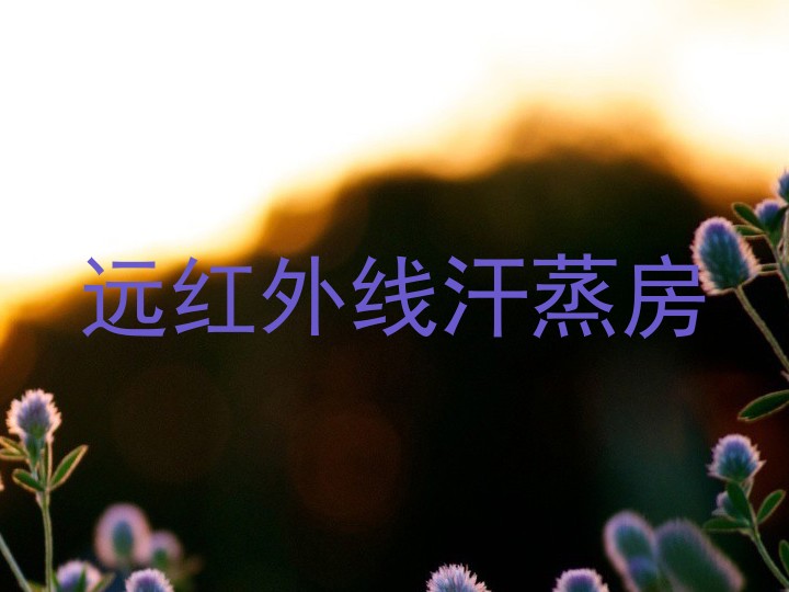 远红外线汗蒸房