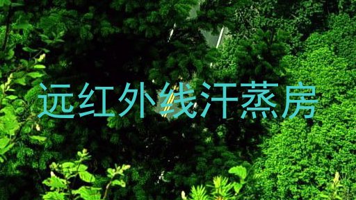 远红外线汗蒸房