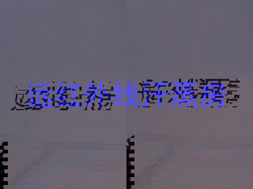 远红外线汗蒸房