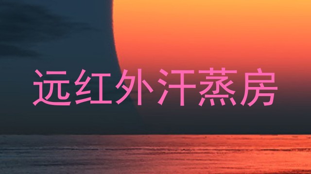 远红外汗蒸房