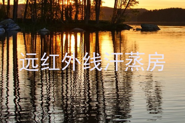 远红外线汗蒸房