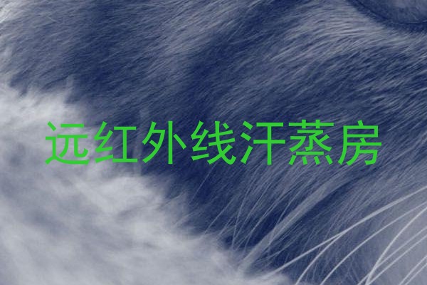 远红外线汗蒸房