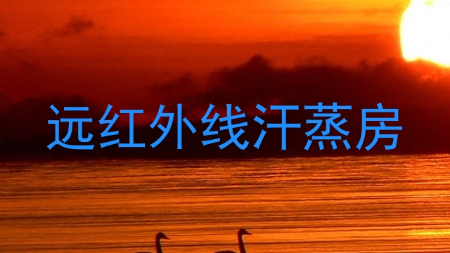 远红外线汗蒸房