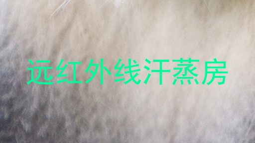 远红外线汗蒸房