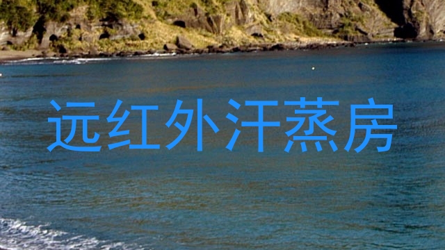 远红外汗蒸房