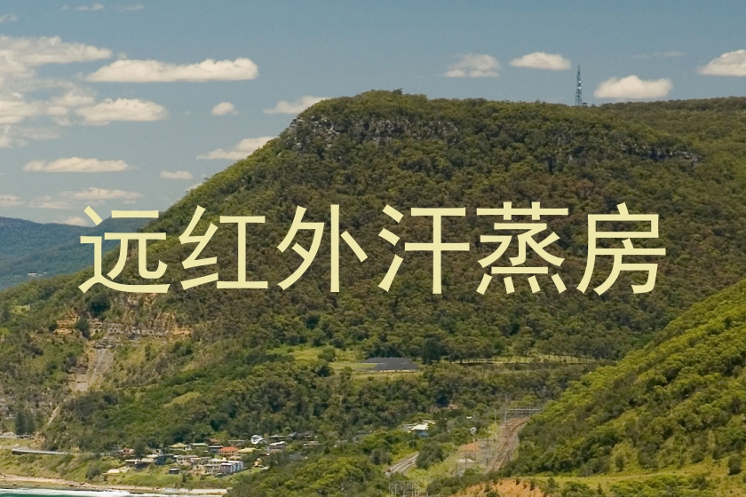 远红外汗蒸房