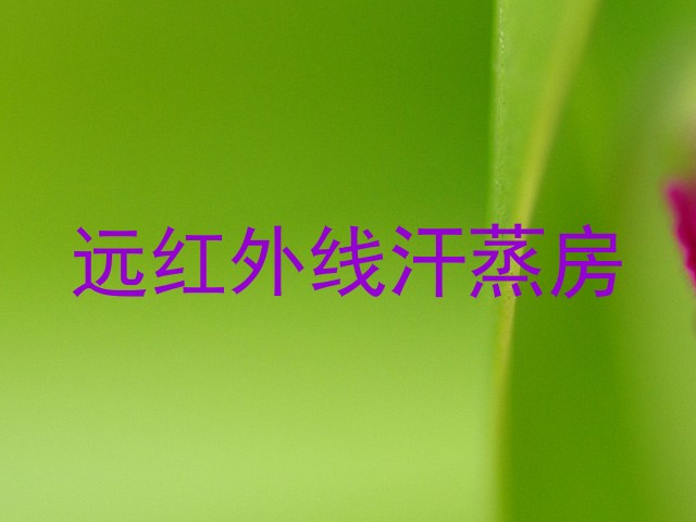 远红外线汗蒸房