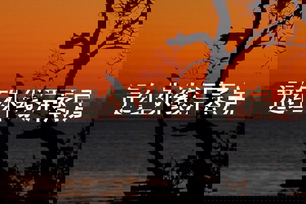 远红外线汗蒸房