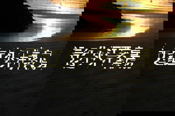 远红外汗蒸房