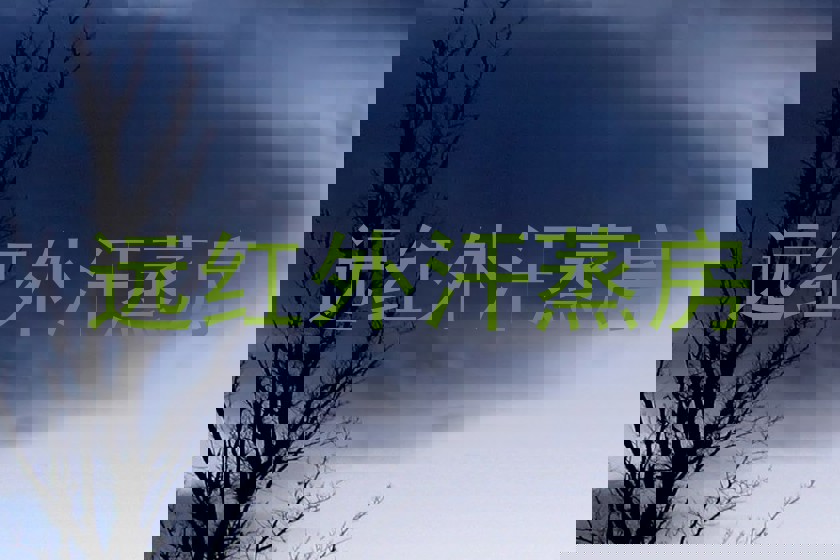 远红外汗蒸房