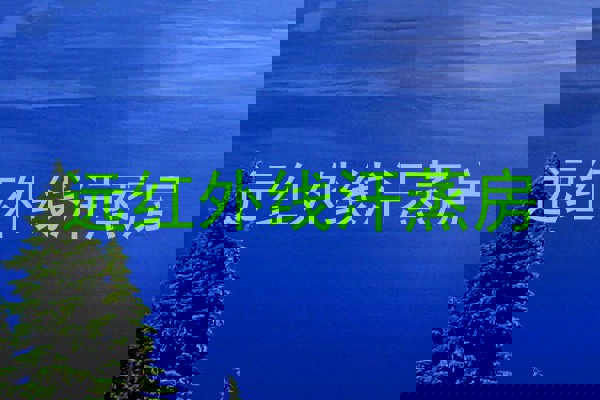 远红外线汗蒸房