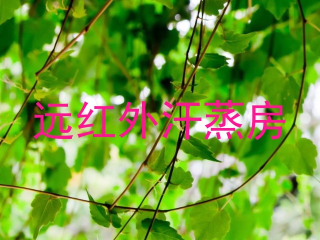 远红外汗蒸房