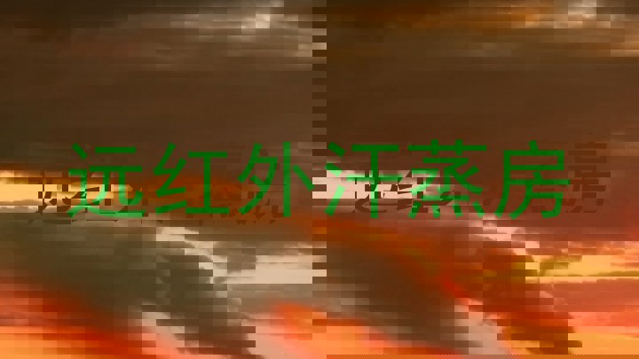 远红外汗蒸房