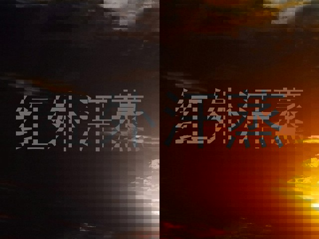 红外汗蒸