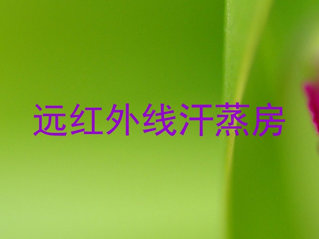 远红外线汗蒸房