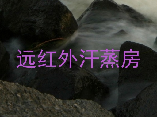 远红外汗蒸房
