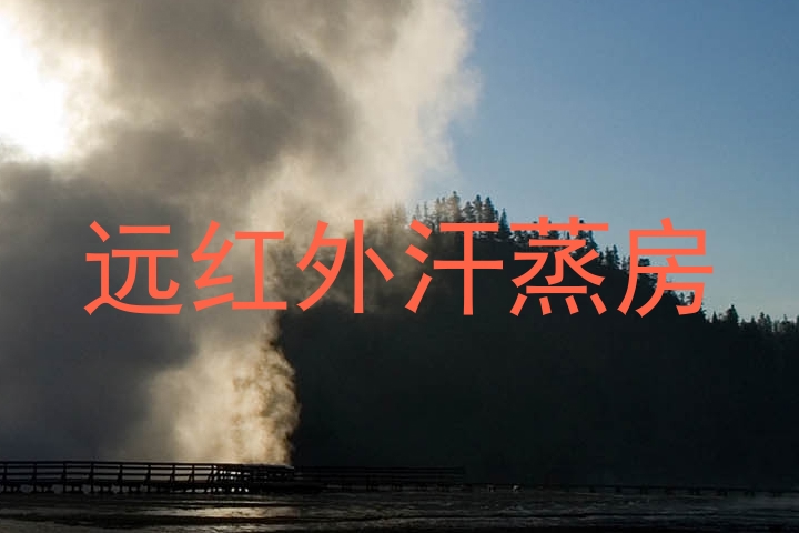 远红外汗蒸房