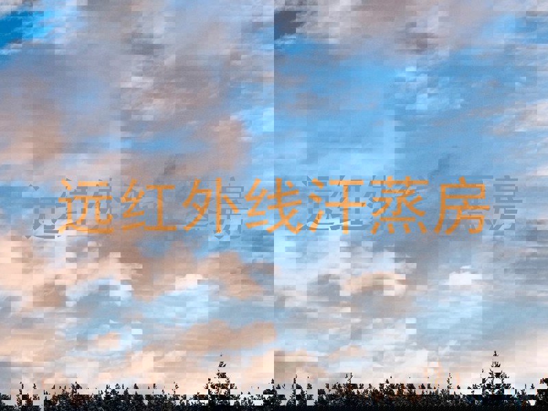 远红外线汗蒸房