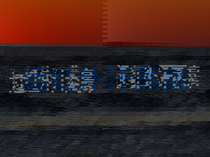 远红外汗蒸房