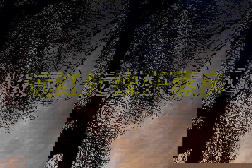 远红外线汗蒸房