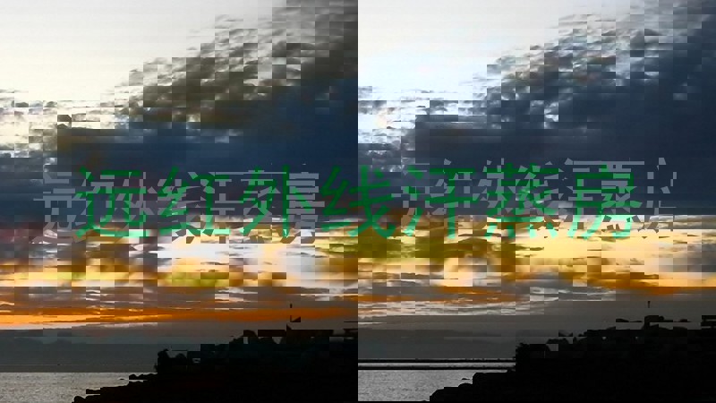 远红外线汗蒸房