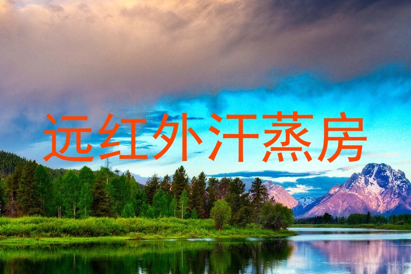 远红外汗蒸房