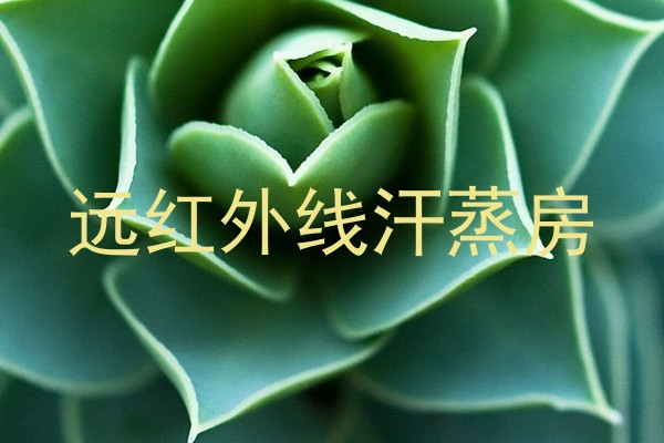 远红外线汗蒸房