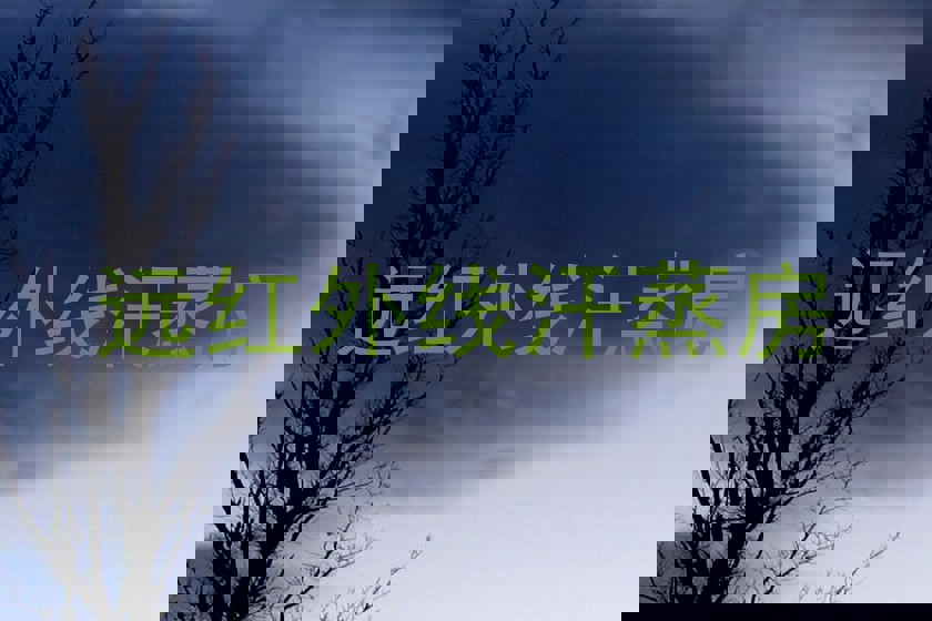 远红外线汗蒸房