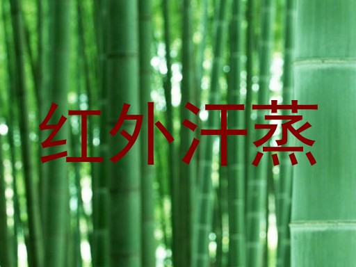 红外汗蒸
