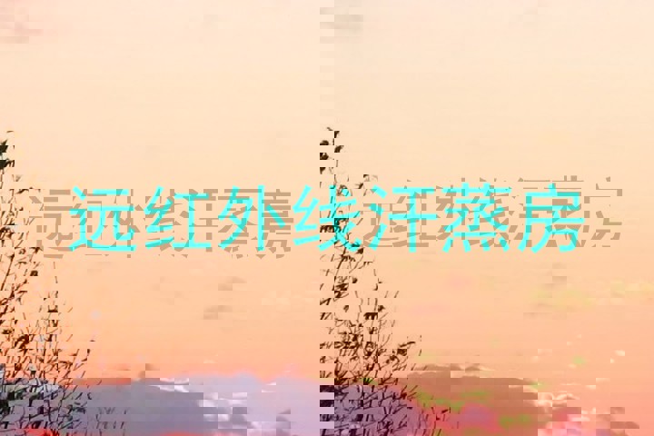 远红外线汗蒸房