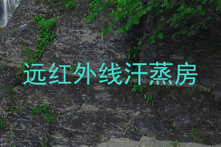 远红外线汗蒸房